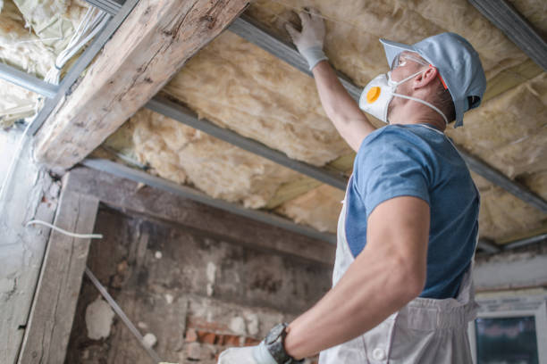 Best Fiberglass Insulation in Orange Park, FL