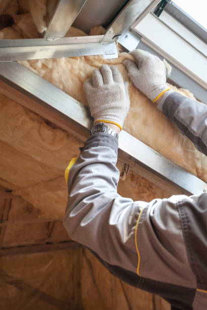 Best Geographic-Specific Insulation Services in Orange Park, FL