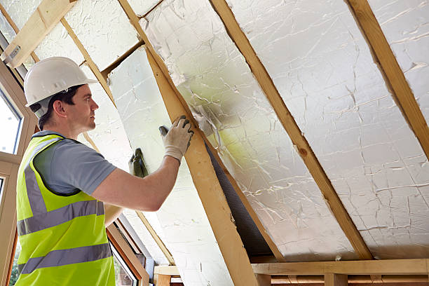 Best Insulation Maintenance and Repair in Orange Park, FL