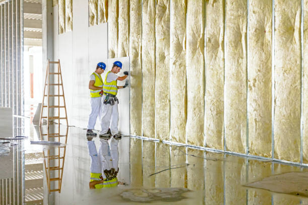 Best Commercial Insulation in Orange Park, FL